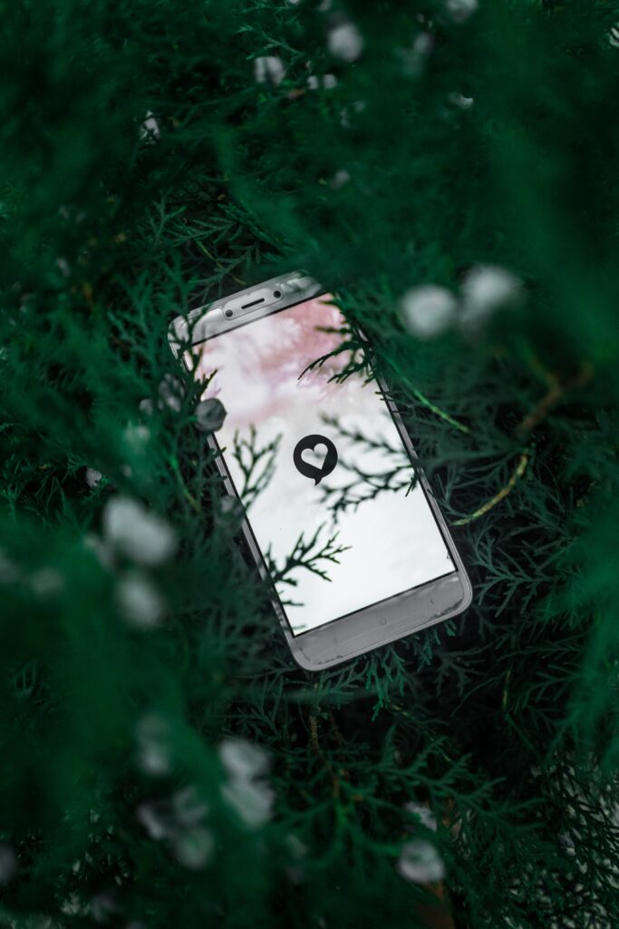 An image of a phone with a dating app, similar to the one used by Jaqueline Ades, open. Phone is cast into the grass.